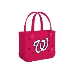 Bitty - Washington Nationals K9