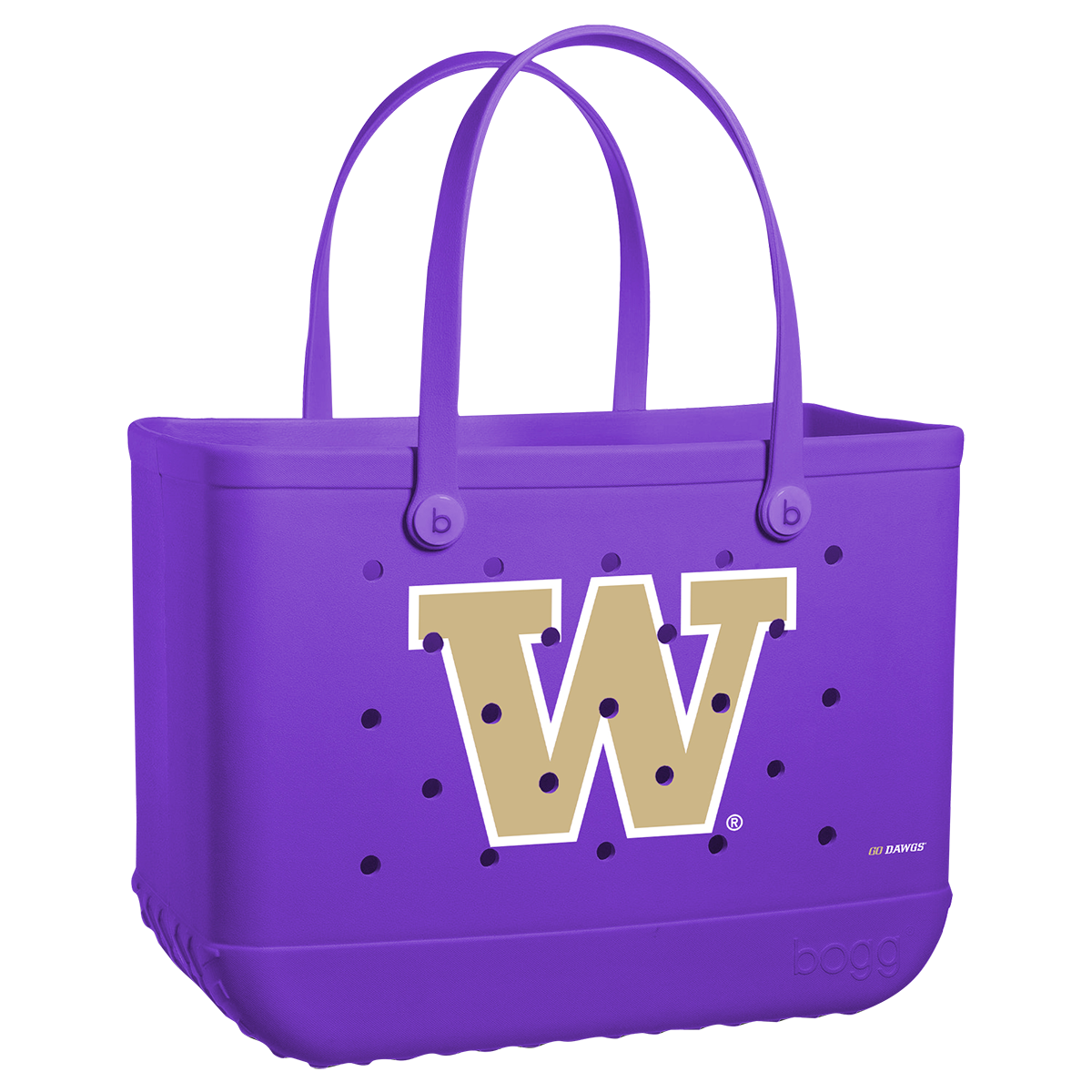 Original - Washington Huskies H6