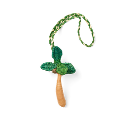 'd & Charmed - Raffia Palm Z9